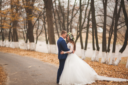 Happy wedding couple, bride and groom in the autumn forest, park.の写真素材