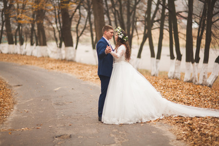 Happy wedding couple, bride and groom in the autumn forest, park.の写真素材