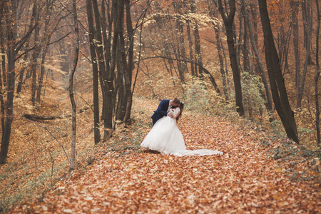 Happy wedding couple, bride and groom kissing in the autumn forest, park.の写真素材