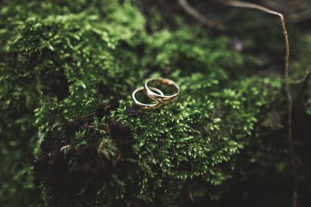 luxury wedding rings lying on the leaves and grass.の写真素材