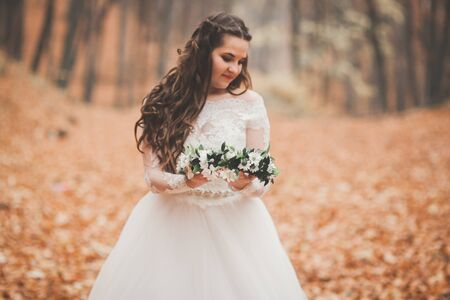Beautiful bride posing in park and forest autumn.の写真素材