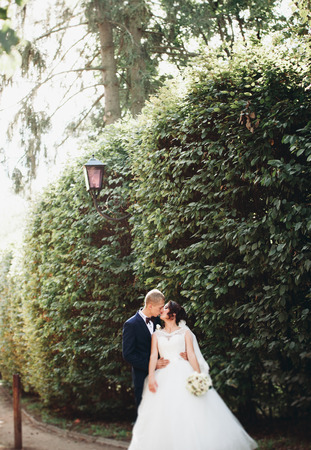 Happy wedding couple, bride and groom posing in park.の写真素材