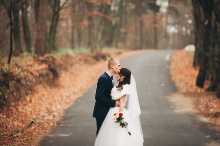 Happy wedding couple, bride and groom posing in park autumn.の写真素材