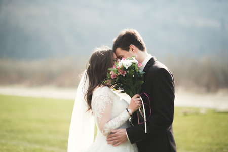 Beautiful wedding couple, bride and groom posing and walking in field against the background of high mountains.の写真素材