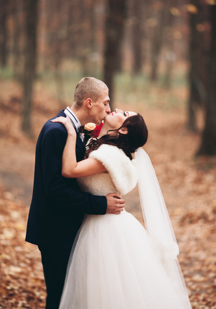 Happy wedding couple, bride and groom kissing in park autumn.の写真素材