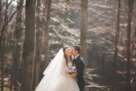 Gorgeous wedding couple kissing and hugging in forestの写真素材