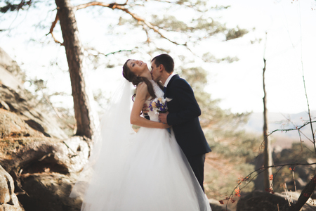 Gorgeous wedding couple kissing and hugging in forest with big rocks.の写真素材