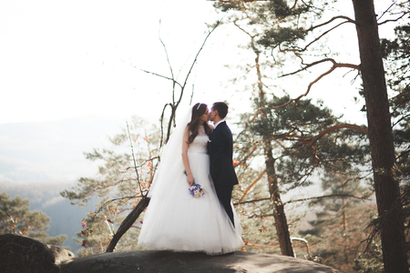 Gorgeous wedding couple kissing and hugging in forest with big rocks.の写真素材