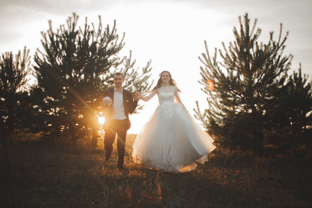 Elegant beautiful wedding couple posing in park at sunset.の写真素材