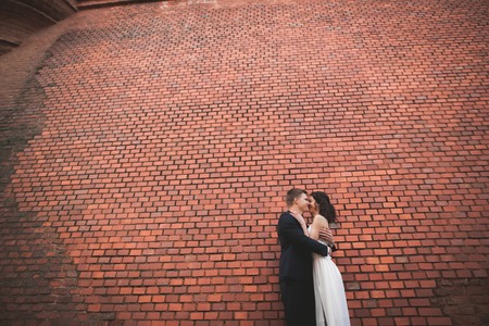 Wonderful luxury wedding couple posing near great wall.の写真素材