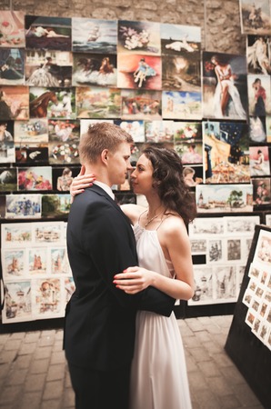 Gorgeous wedding couple, bride, groom hugging against the background of paintings.の写真素材