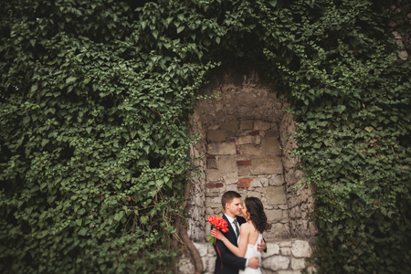 Elegant beautiful wedding couple, bride and groom posing in park near a wall of bushes.の写真素材