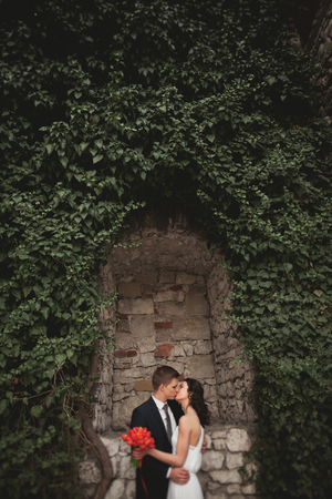 Elegant beautiful wedding couple, bride and groom kissing in park near a wall of bushes.の写真素材