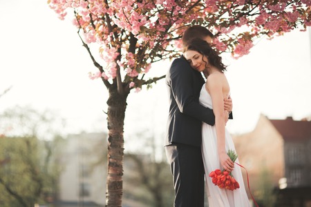 Stylish Loving wedding couple hugging near tree with blossoms.の写真素材