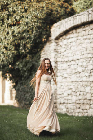 Beautiful girl, model with long hair posing in park near great wall. Krakow Vavel.の写真素材