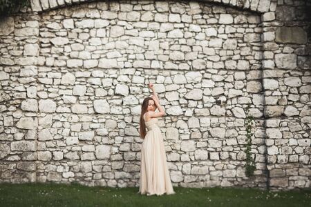 Beautiful girl, model with long hair posing in park near great wall. Krakow Vavel.の写真素材