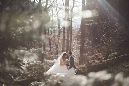 Gorgeous bride and groom kissing and hugging near the cliffs with stunning views.の写真素材