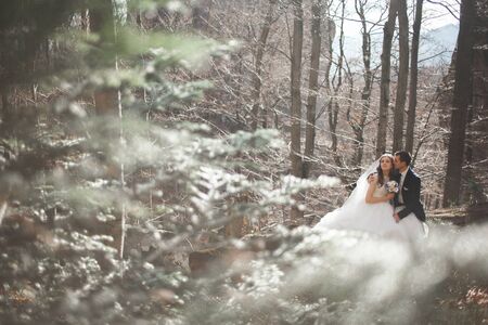 Gorgeous bride and groom kissing and hugging near the cliffs with stunning views.の写真素材