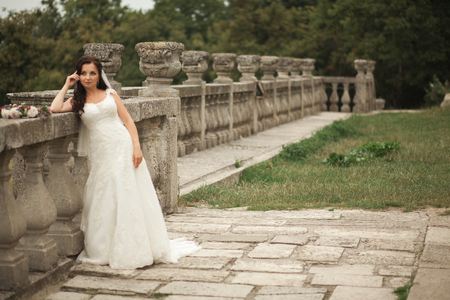 Gorgeous romantic gentle stylish beautiful caucasian bride on the background ancient baroque castle.の写真素材