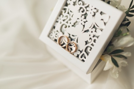 luxury wedding rings lying on the leaves and grass.の写真素材