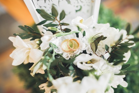 luxury wedding rings lying on the leaves and grass.