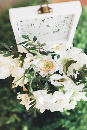 luxury wedding rings lying on the leaves and grass.の写真素材