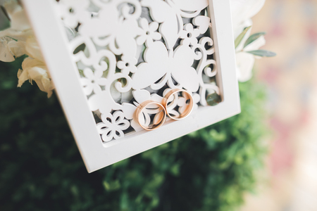 luxury wedding rings lying on the leaves and grass.の写真素材
