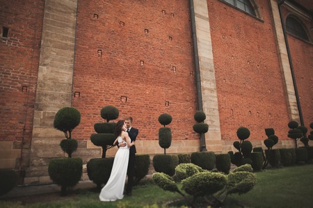 Happy wedding couple hugging and smiling in park with decorative bushes .の写真素材