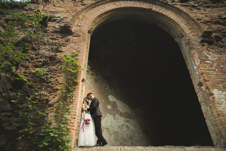 Beautiful fairytale newlywed couple hugging near old medieval castle.の写真素材