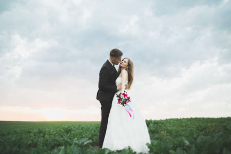 Beautiful couple in field, Lovers or newlywed posing on sunset with perfect sky.