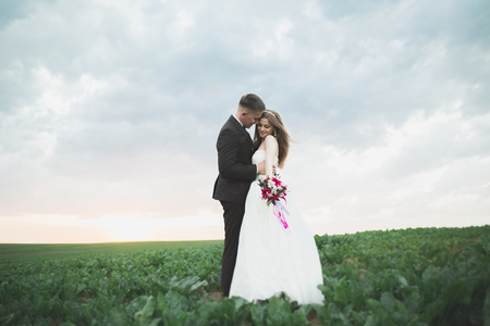 Lovely couple young bride and groom on sunset background. Beautiful sky.の写真素材