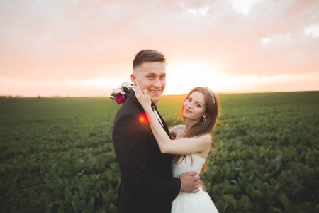 Beautiful wedding couple, love on the sunset. Fielf with flowers.