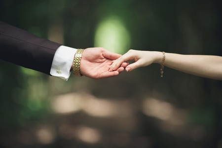 Wedding couple bride and groom holding hands.の写真素材