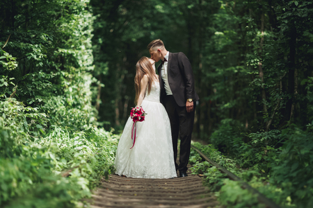 luxury stylish young bride and groom on the background spring sunny green forest.の写真素材