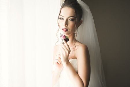 Portrait of beautiful bride with fashion veil at wedding morning. Wedding dressの写真素材