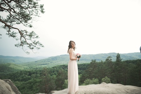 Beautiful bride posing near rocks against background the mountains.の写真素材