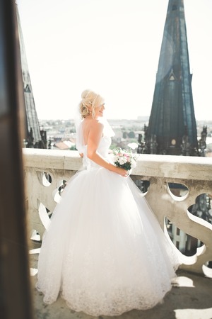 Beautiful luxury bride on the balcony with perfect landscape.の写真素材