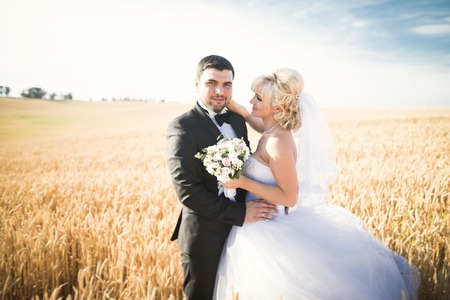 Elegant stylish happy blonde bride and gorgeous groom posing in wheat field on the background blue sky.の写真素材
