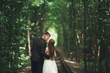 Beautiful, perfect couple posing on their wedding day.の写真素材
