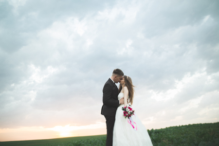 Beautiful couple in field, Lovers or newlywed posing on sunset with perfect sky.の写真素材