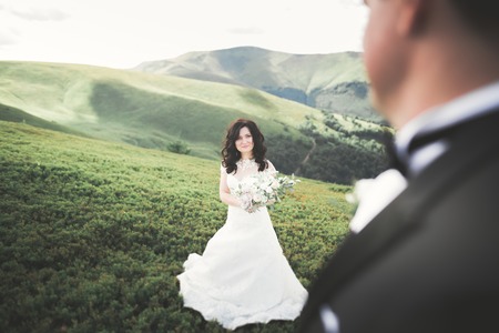 Kissing wedding couple staying over beautiful landscape.の写真素材