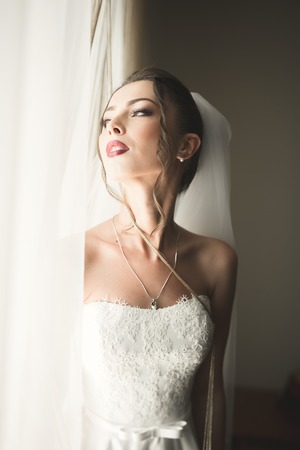 Portrait of beautiful bride with fashion veil at wedding morning. Wedding dressの写真素材