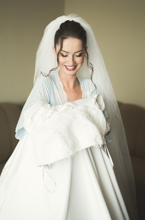 Portrait of beautiful bride with fashion veil at wedding morning. Wedding dressの写真素材