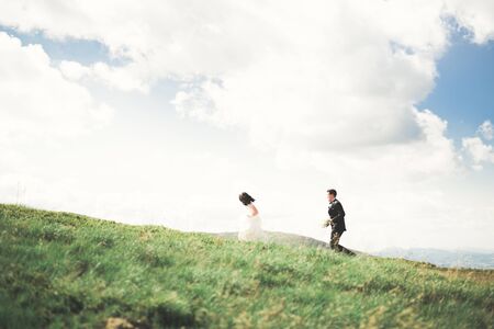 Kissing wedding couple staying over beautiful landscape.の写真素材