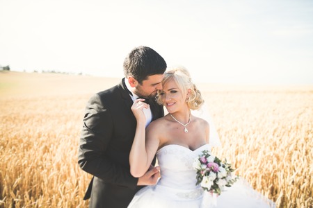 Elegant stylish happy blonde bride and gorgeous groom posing in wheat field on the background blue sky.の写真素材