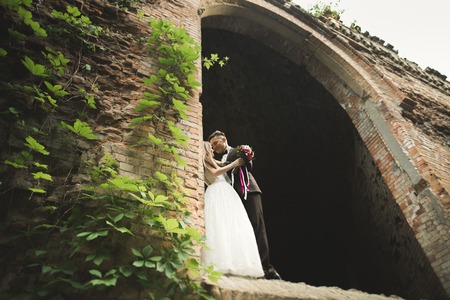 Happy newlyweds near the ancient castle on the walk.の写真素材