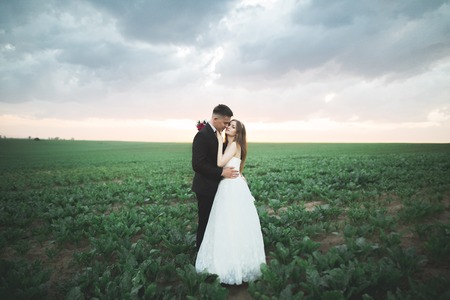 Beautiful couple in field, Lovers or newlywed posing on sunset with perfect sky.の写真素材