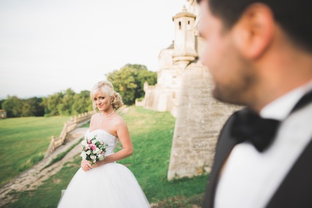 Sensual married couple, valentines hugging in front of old slavic castle.の写真素材