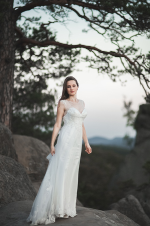 Gorgeous bride in elegant dress holding bouquet and posing near forest.の写真素材