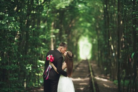 Beautiful, perfect couple posing on their wedding day.の写真素材